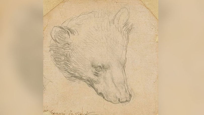 Da Vinci’nin ayı çizimi açık artırmaya çıkıyor #1