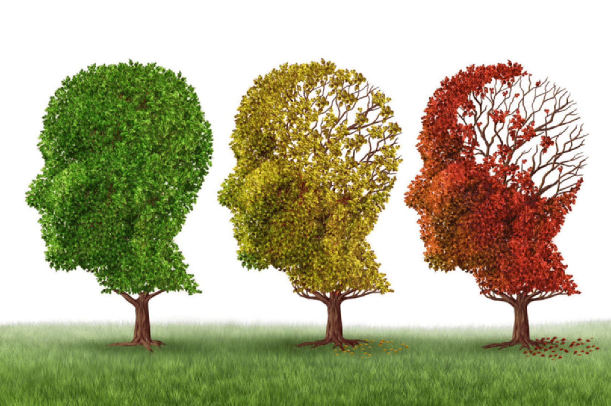Demans ve Alzheimer arasındaki farklılıklar #3