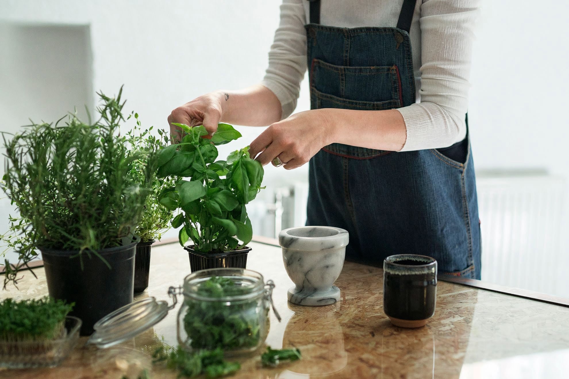 Evde kendi olanaklarıyla bitki yetiştirmek isteyenlere 5 öneri #1
