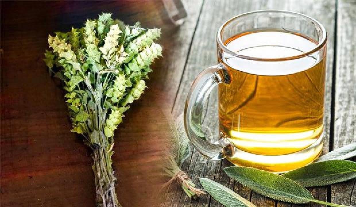 Kış aylarında vücut direncinizi artıracak bitki çayı önerisi #1