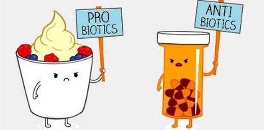 Vücudumuzdaki yararlı canlılar: Probiyotikler #6